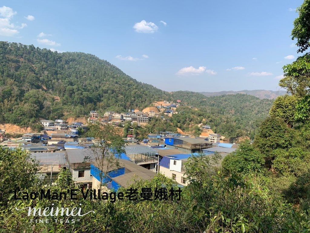 2019 Lao Man E Ancient Tree Sheng Raw Pu’erh Tea Cake