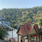2019 Lao Man E Ancient Tree Sheng Raw Pu’erh Tea Cake