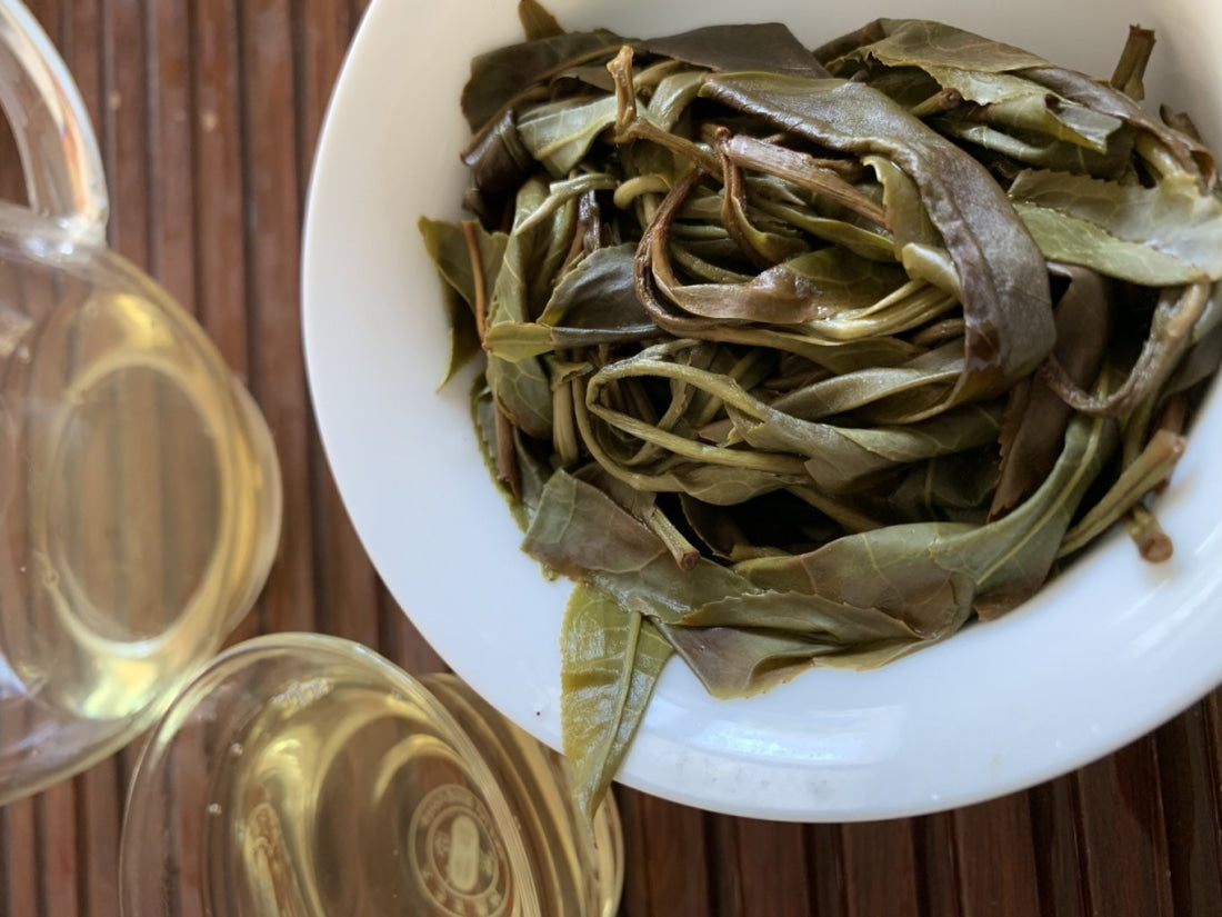 2019 Pristine Gua Feng Zhai Abor Tree Sheng Pu-erh Tea
