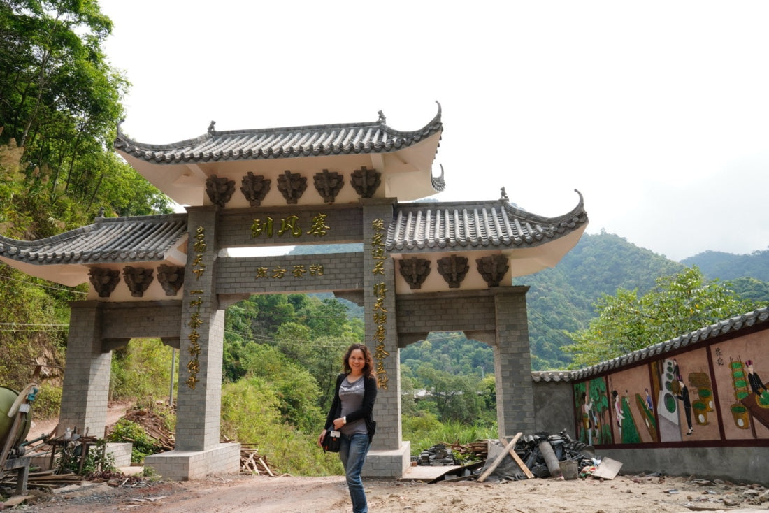 2019 Pristine Gua Feng Zhai Abor Tree Sheng Pu-erh Tea