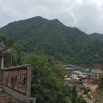 2019 Pristine Gua Feng Zhai Abor Tree Sheng Pu-erh Tea