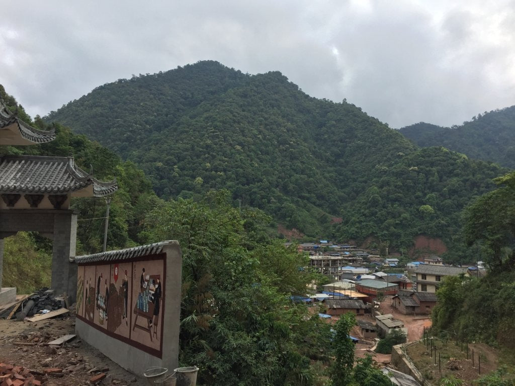 2019 Pristine Gua Feng Zhai Abor Tree Sheng Pu-erh Tea