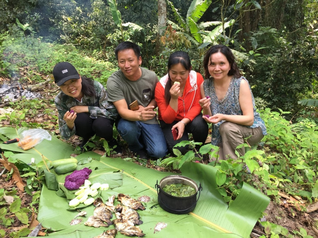 2019 Yiwu National Forest Ancient Tree Sheng Pu-erh Tea Guo You Lin