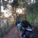 Duo Yi Shu National Forest Raw Pu-erh Tea