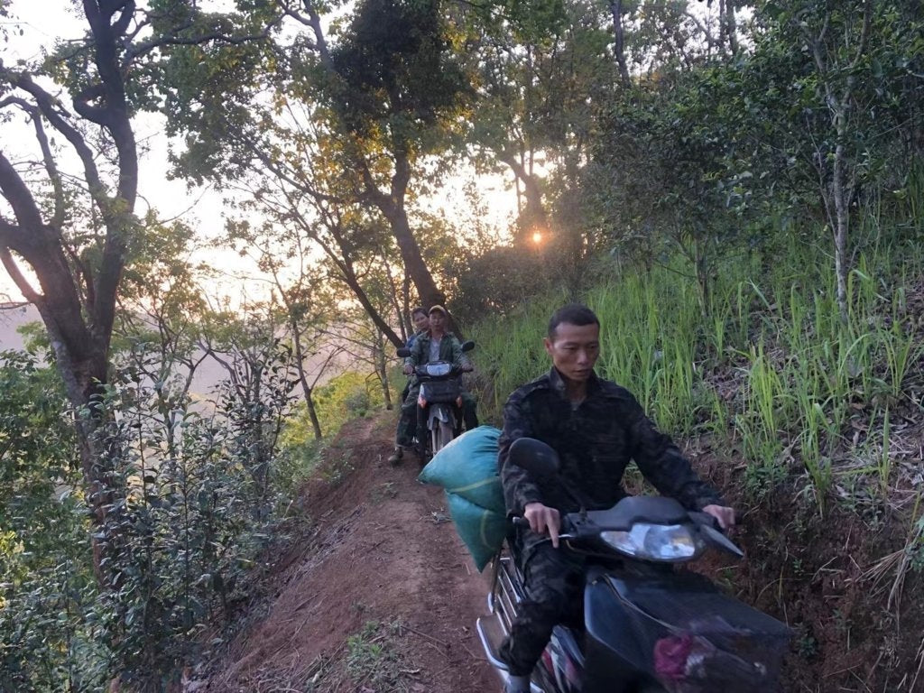 Duo Yi Shu National Forest Raw Pu-erh Tea