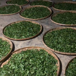 Duo Yi Shu National Forest Raw Pu-erh Tea