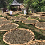 Duo Yi Shu National Forest Raw Pu-erh Tea