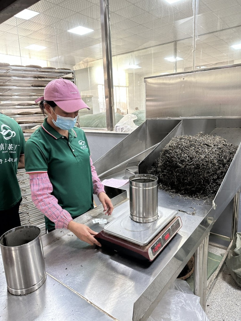 2023 Hua Zhu Liang Zi Bamboo Ridge Ancient Tree Raw Pu-erh Tea