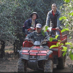 2023 Hua Zhu Liang Zi Bamboo Ridge Ancient Tree Raw Pu-erh Tea