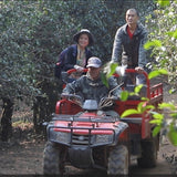 2023 Hua Zhu Liang Zi Bamboo Ridge Ancient Tree Raw Pu-erh Tea