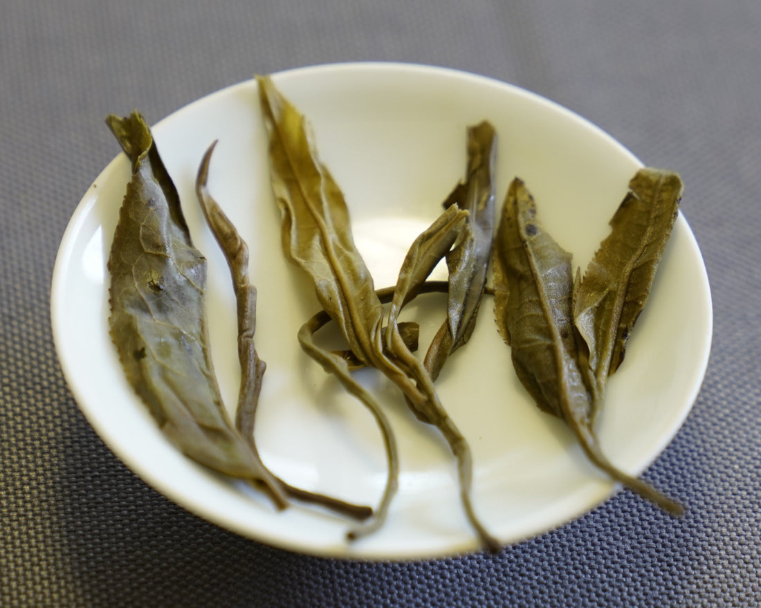 2023 King of Pu-erh Lao Ban Zhang Raw Pu-erh Tea