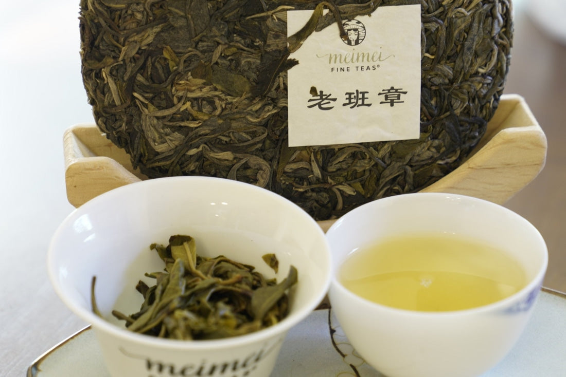 2023 King of Pu-erh Lao Ban Zhang Raw Pu-erh Tea