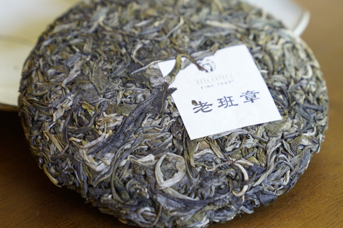 2023 King of Pu-erh Lao Ban Zhang Raw Pu-erh Tea