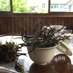 2023 Yiwu Mahei Arbor Tree Sheng Pu-erh Tea 100g cake