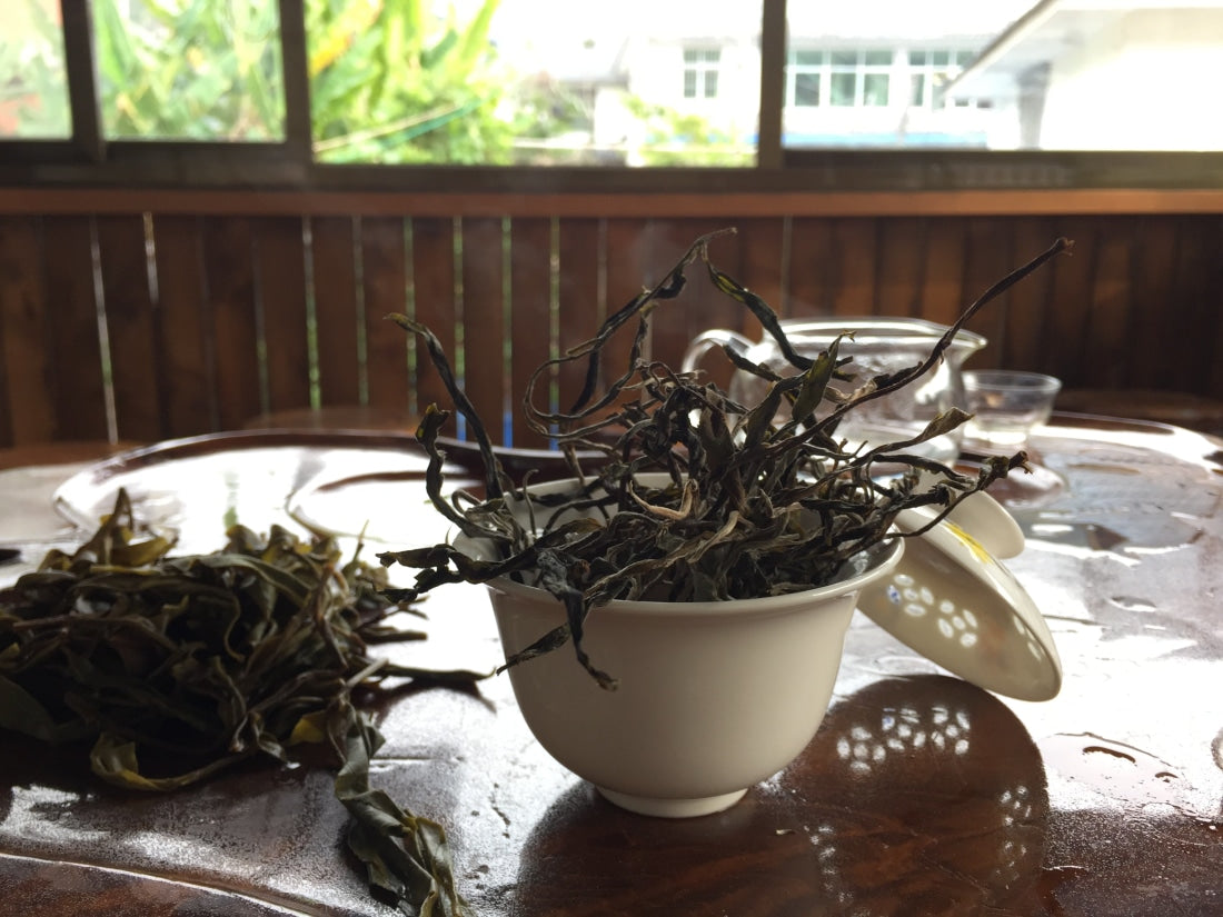 2023 Yiwu Mahei Arbor Tree Sheng Pu-erh Tea 100g cake