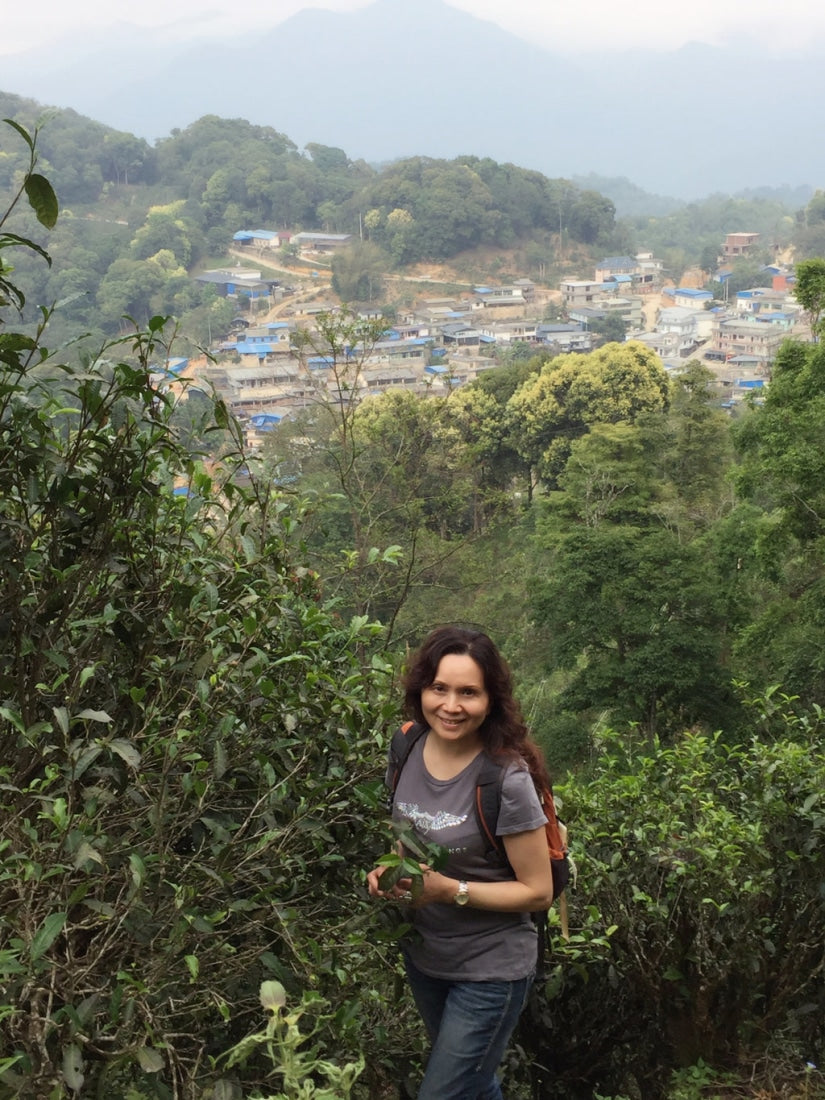 2023 Yiwu Mahei Arbor Tree Sheng Pu-erh Tea 100g cake