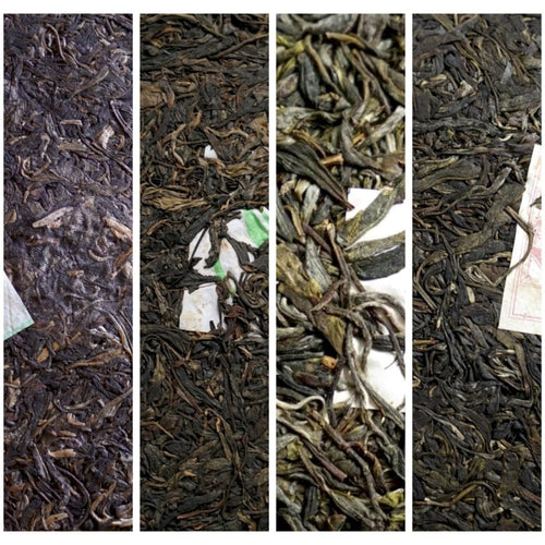 Puerh Tea Aging Property Comparison Premium Sampler