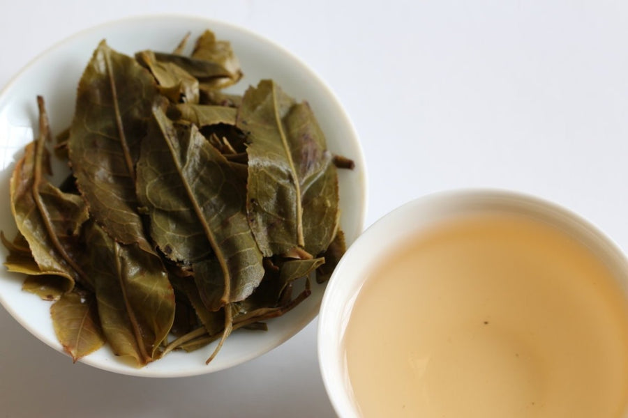 2016 Nannuo Mountain Ancient Tree Raw Pu’erh Tea Mao Cha