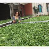 Meimei Brand Bing Dao Ancient Tree Raw Pu’erh Tea