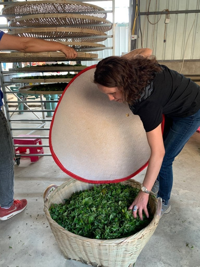 2019 He Kai Ancient Tree Gushu Raw Pu-erh Tea