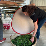 2019 He Kai Ancient Tree Gushu Raw Pu-erh Tea