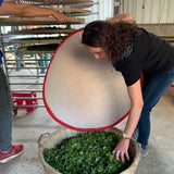 2019 He Kai Ancient Tree Gushu Raw Pu-erh Tea