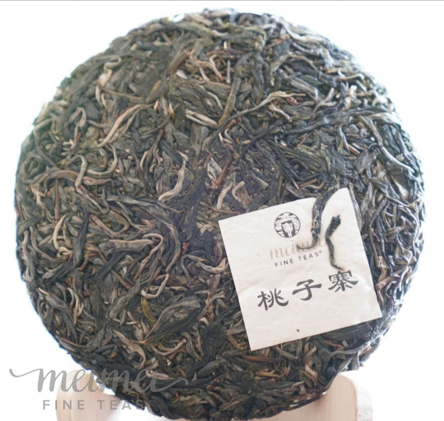 Pu-erh Tea - 2023 Man Zhuan Mountain Peach Village Tall Ancient Tree