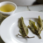 Prestigious Yiwu Tong Qing He Ancient Tree Gushu Raw Pu-erh Tea