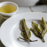 Prestigious Yiwu Tong Qing He Ancient Tree Gushu Raw Pu-erh Tea