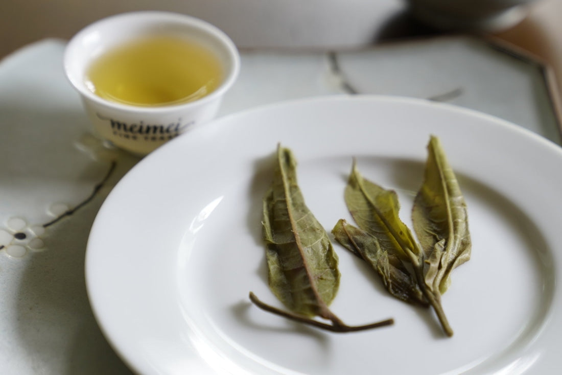 Prestigious Yiwu Tong Qing He Ancient Tree Gushu Raw Pu-erh Tea