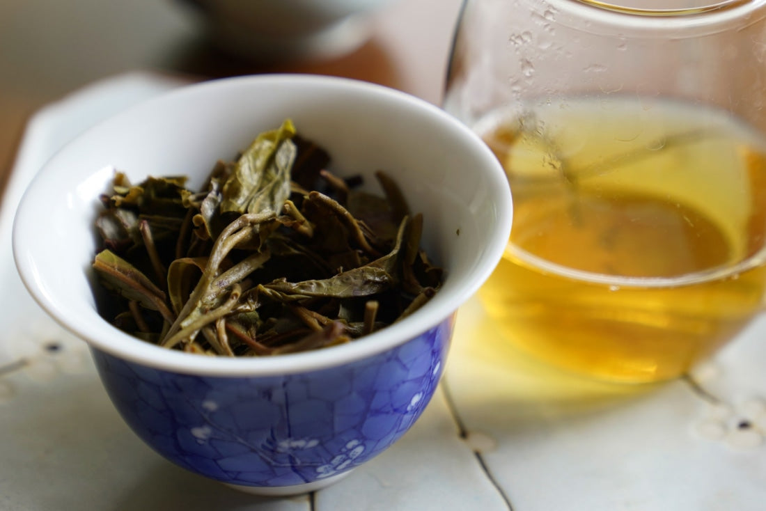 Prestigious Yiwu Tong Qing He Ancient Tree Gushu Raw Pu-erh Tea