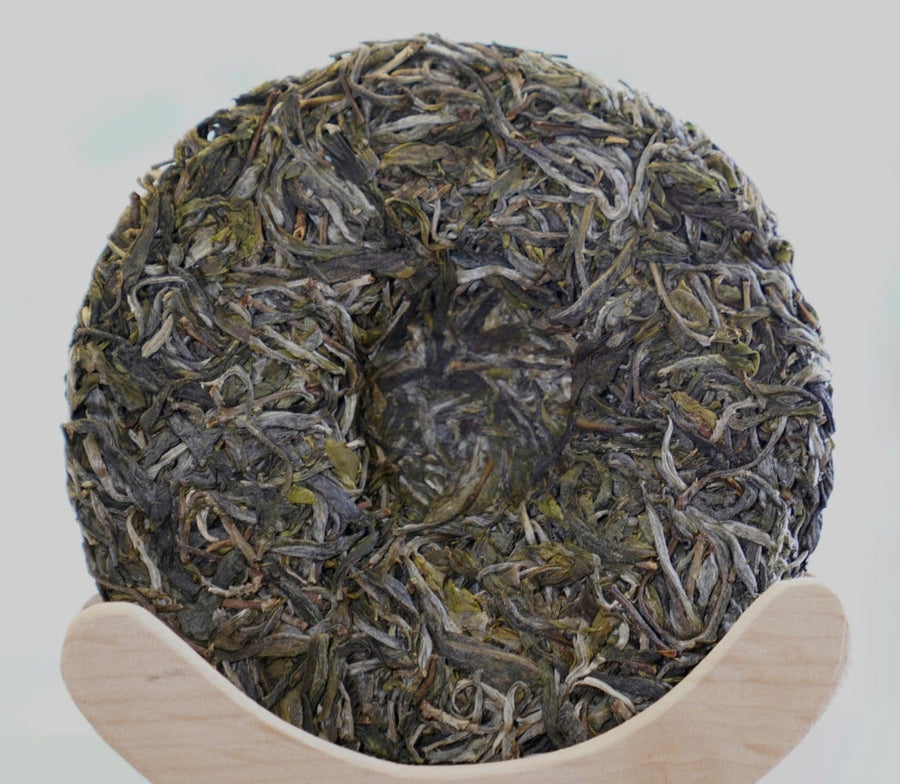 Prestigious Yiwu Tong Qing He Ancient Tree Gushu Raw Pu-erh Tea