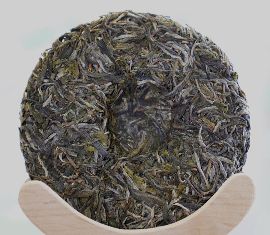 Pu-erh Tea - Prestigious Tong Qing He Ancient Tree Gushu Sheng Pu-erh