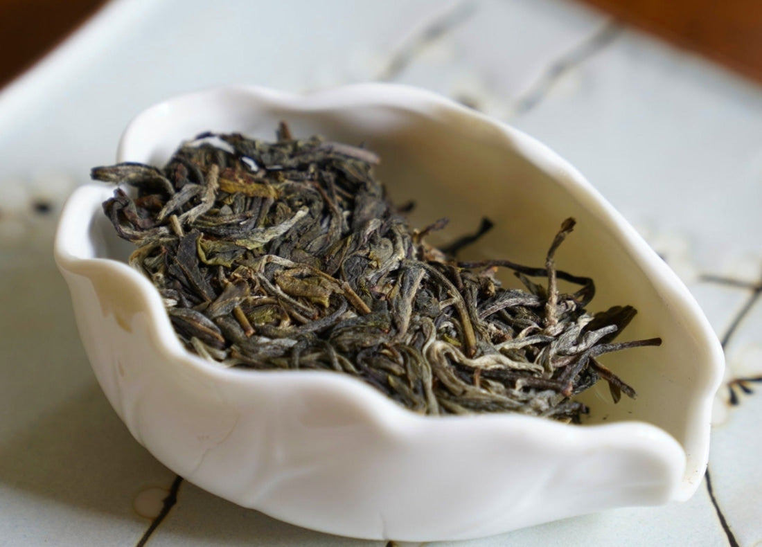 Prestigious Yiwu Tong Qing He Ancient Tree Gushu Raw Pu-erh Tea