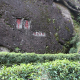 Signature Wuyi Rock Oolong Tea Sampler Variety Pack