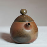 Artisan Jianshui Clay Wood-fired Teapot Dragon Egg Long Dan