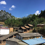 Heritage Dragon Kiln Wood-Fired Variable Glaze Teacup