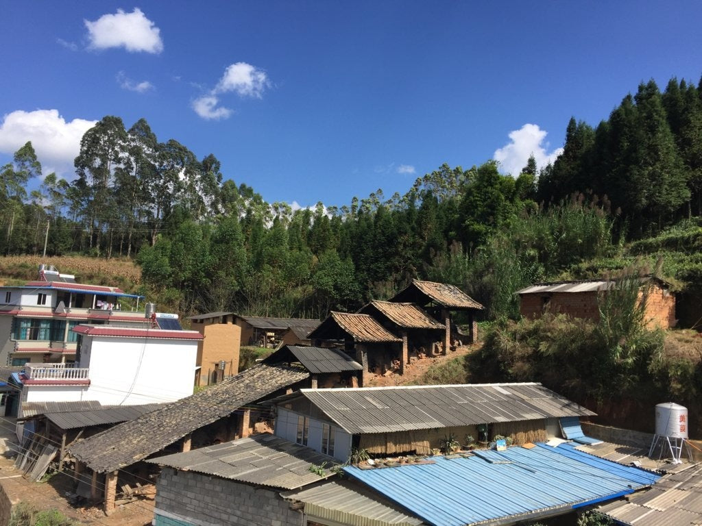 Heritage Dragon Kiln Wood-Fired Variable Glaze Teacup