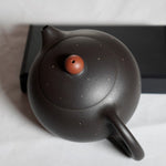 Genuine Yixing Zisha Clay Teapot Hei Ni Xi Shi