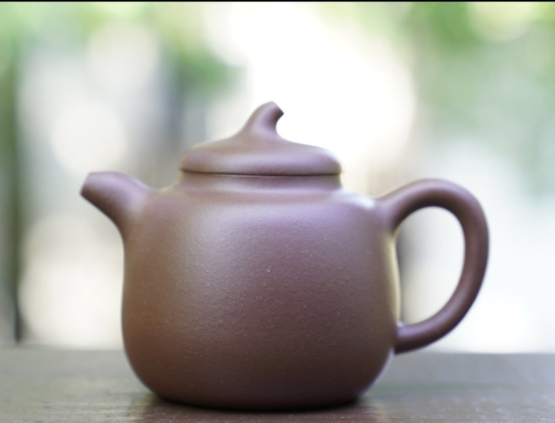 Genuine Yixing Zisha Purple Clay Teapot Eggplant Stem Qie Duan