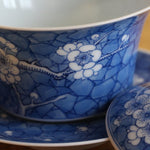 Jingdezhen Blue and White Porcelain Gaiwan Ice Crackle Glaze
