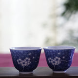 Jingdezhen Blue and White Porcelain Gaiwan Set Cracking Ice Plum Blossom