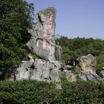 Jingdezhen Porcelain Doucai Egg Tea Cup Zhong Kui