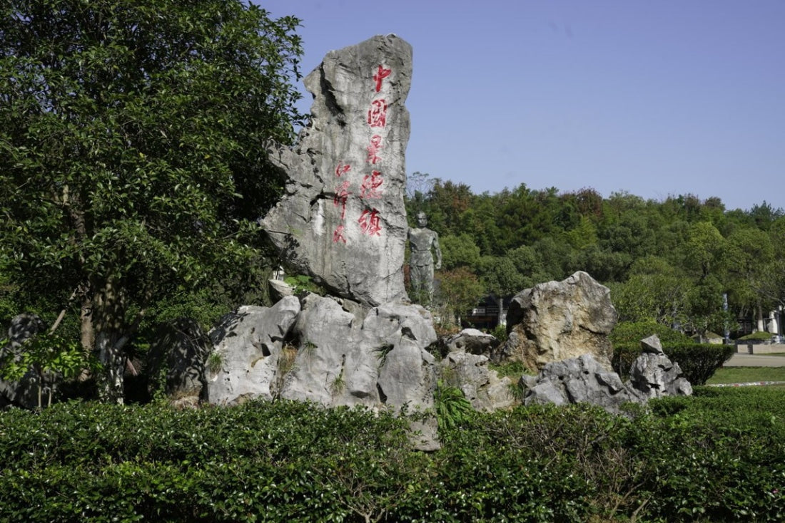 Jingdezhen Porcelain Doucai Egg Tea Cup Zhong Kui