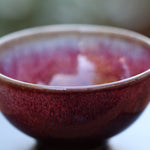 Jun Porcelain Tea Cup Contemporary Red 80ml