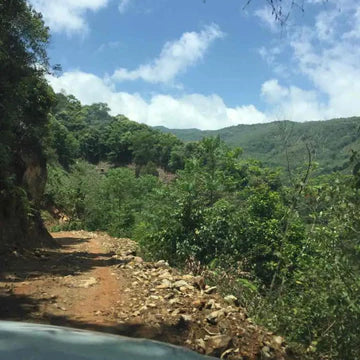 The image shows a dirt road winding through lush green hills under a bright blue sky with scattered clouds.