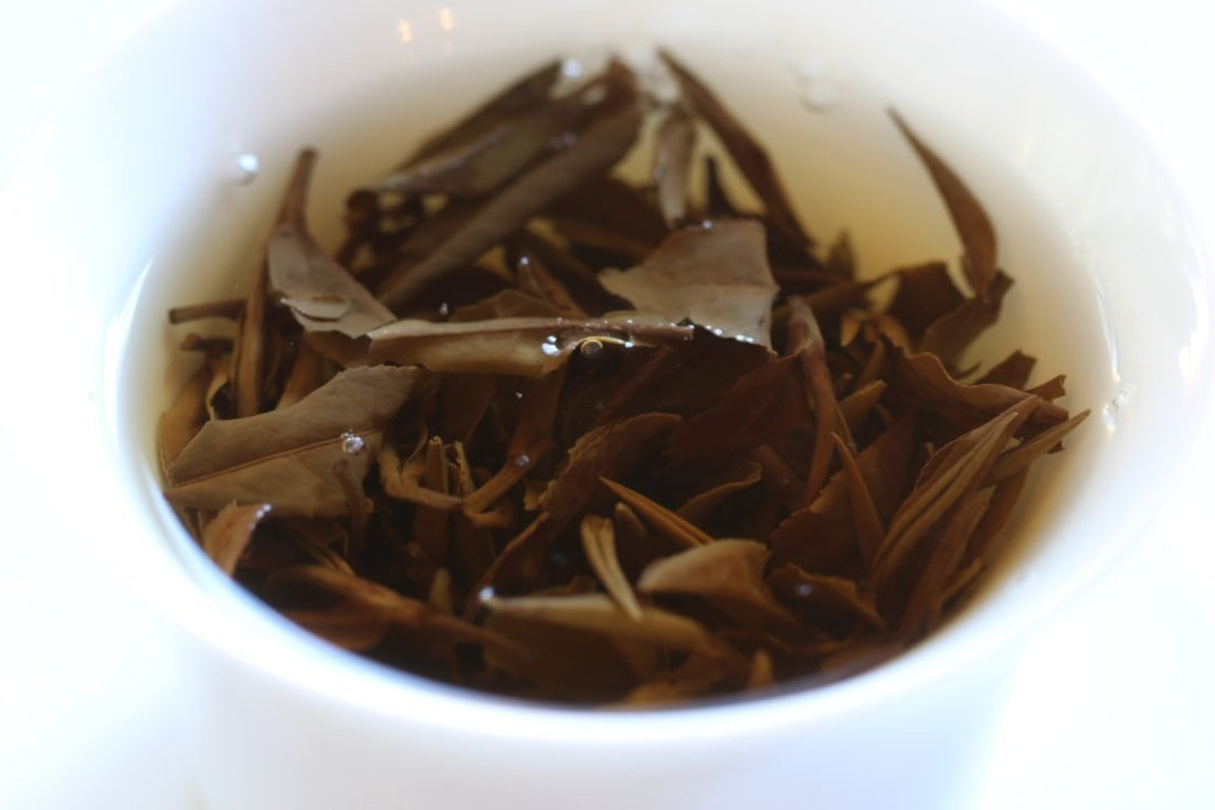 2007 Vintage Fuding White Peony White Tea Bai Mu Dan