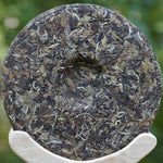 2013 Vintage Fuding White Peony Bai Mu Dan Cake Nature’s Beauty