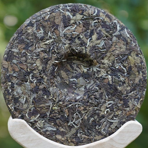 2013 Vintage Fuding White Peony Bai Mu Dan Cake Nature’s Beauty