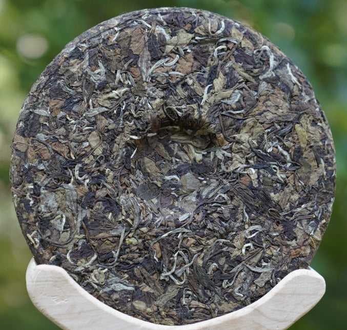 2013 Vintage Fuding White Peony Bai Mu Dan Cake Nature’s Beauty
